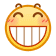 表情[ciya]-懒狗资源站